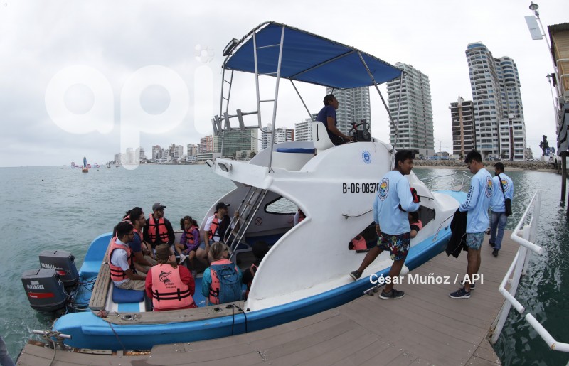 GYE-AVISTAMIENTO BALLENAS