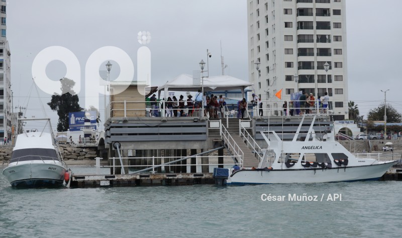 GYE-AVISTAMIENTO BALLENAS