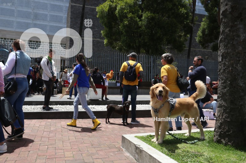 UIO-PROYECTO-LEY-ANIMALES