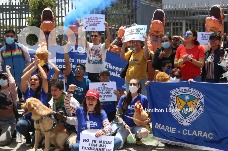 UIO-PROYECTO-LEY-ANIMALES