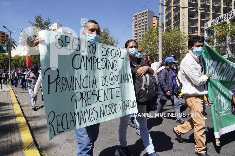 MARCHA-SEGURO-SOCIAL-CAMPESINO