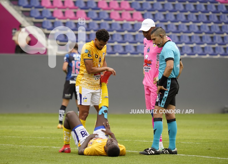 FBL-LIGAPRO-INDEPENDIENTE-DELFIN