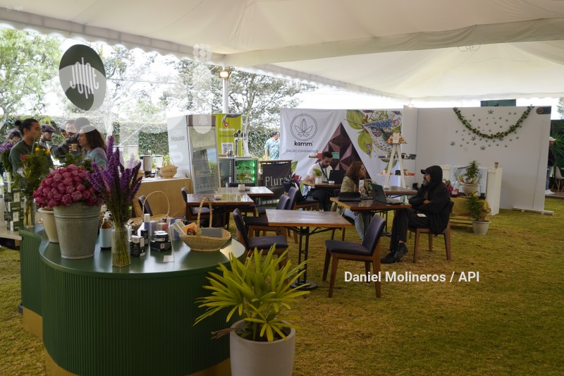 FESTIVAL-CANABIS-CANNABEFEST