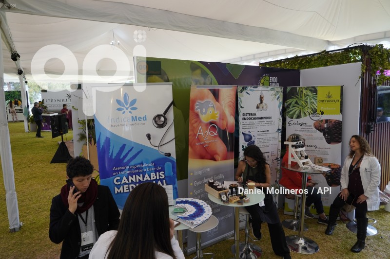 FESTIVAL-CANABIS-CANNABEFEST