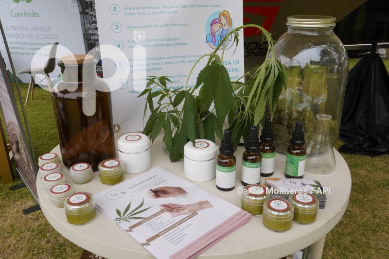 FESTIVAL-CANABIS-CANNABEFEST