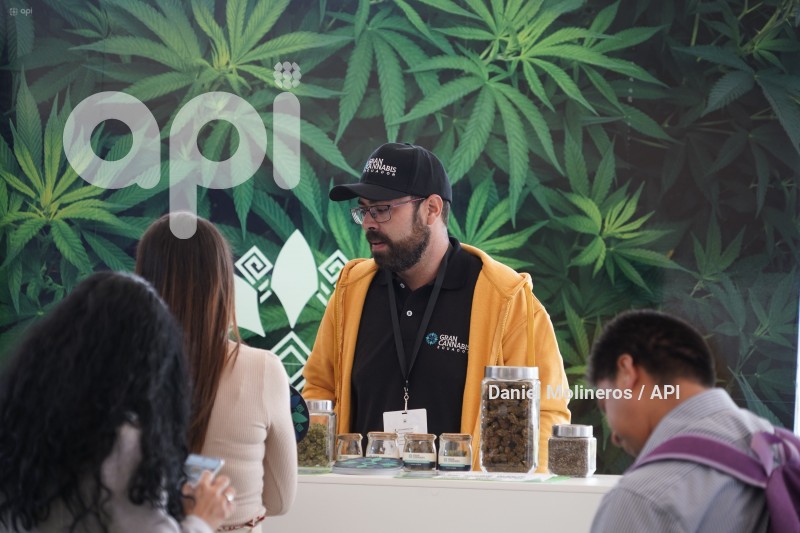 FESTIVAL-CANABIS-CANNABEFEST