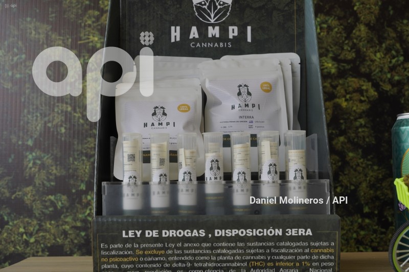 FESTIVAL-CANABIS-CANNABEFEST