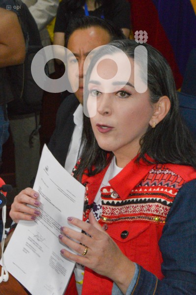 CUENCA-DORA ORDOÑEZ-PRECANDIDATA-PREFECTA