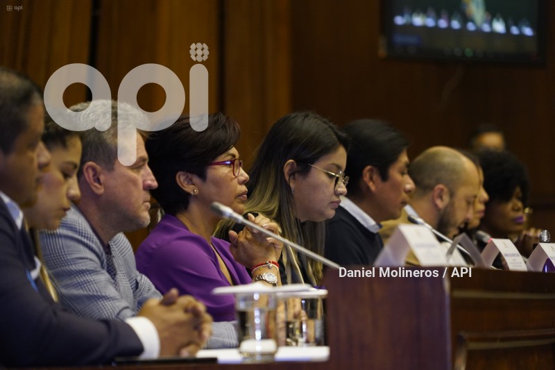ASAMBLEA_ELIZABETH_OTAVALO_GARANTIAS_CONSTITUCIONALES