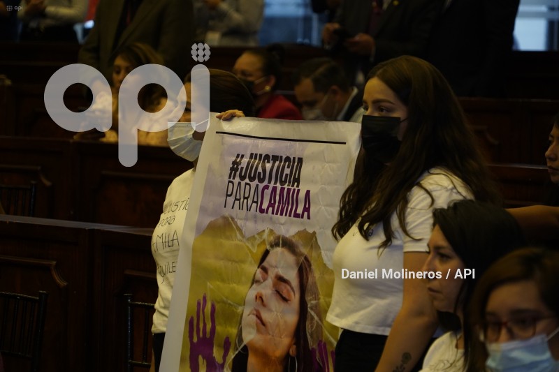 ASAMBLEA_ELIZABETH_OTAVALO_GARANTIAS_CONSTITUCIONALES