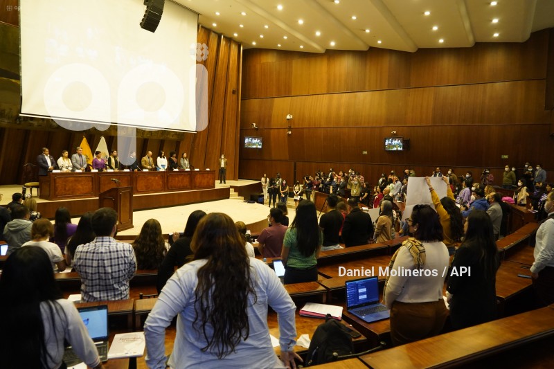 ASAMBLEA_ELIZABETH_OTAVALO_GARANTIAS_CONSTITUCIONALES