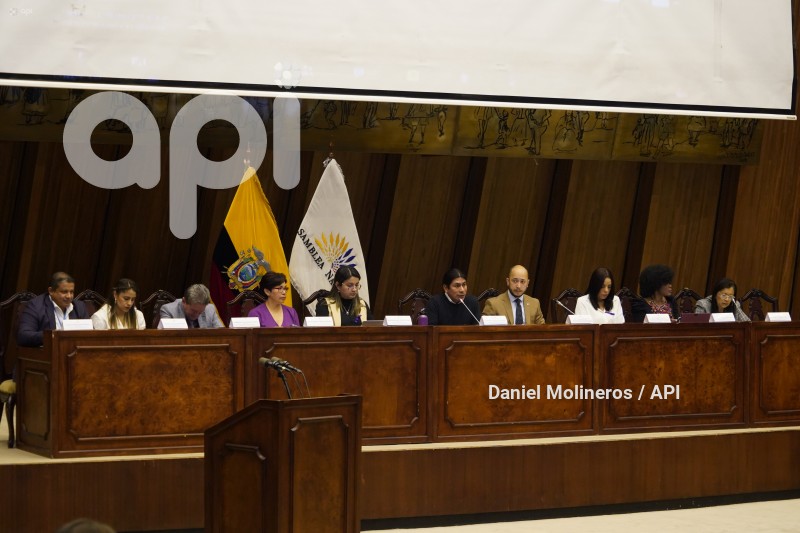 ASAMBLEA_ELIZABETH_OTAVALO_GARANTIAS_CONSTITUCIONALES