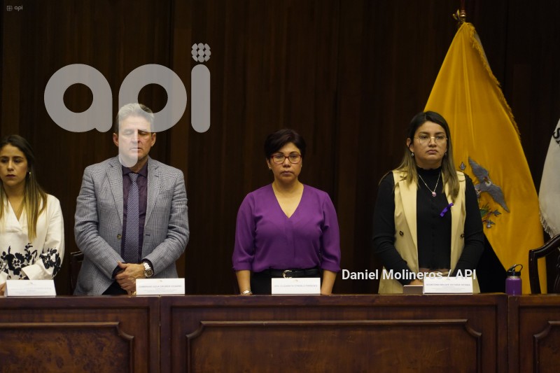 ASAMBLEA_ELIZABETH_OTAVALO_GARANTIAS_CONSTITUCIONALES
