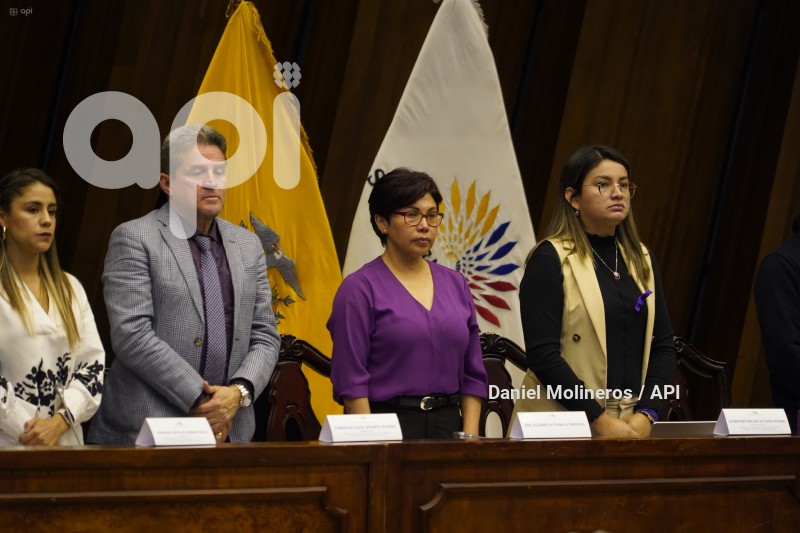 ASAMBLEA_ELIZABETH_OTAVALO_GARANTIAS_CONSTITUCIONALES