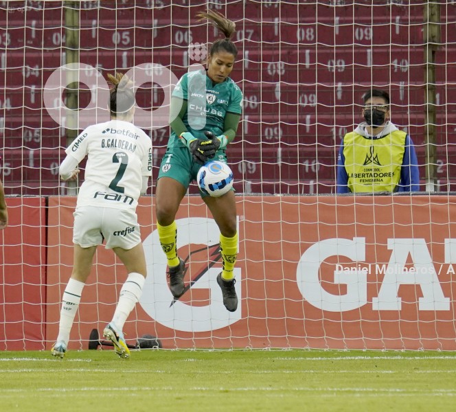 FBL_LIBERTADORESFEM_IDV_PALMEIRAS