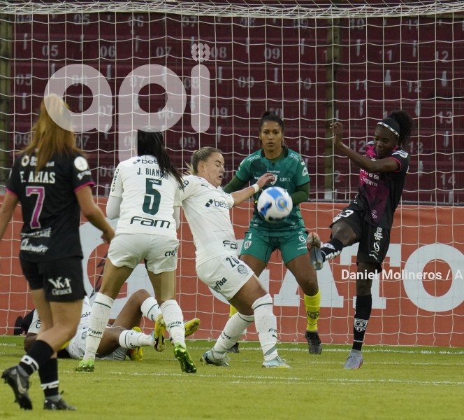 FBL_LIBERTADORESFEM_IDV_PALMEIRAS