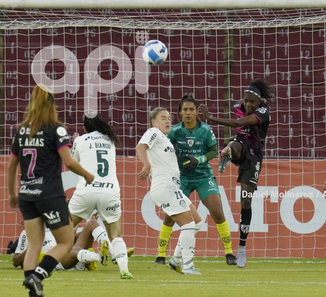 FBL_LIBERTADORESFEM_IDV_PALMEIRAS