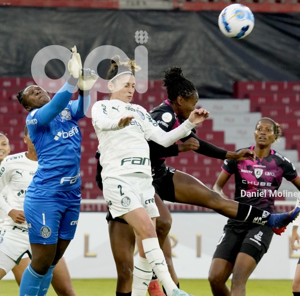 FBL_LIBERTADORESFEM_IDV_PALMEIRAS