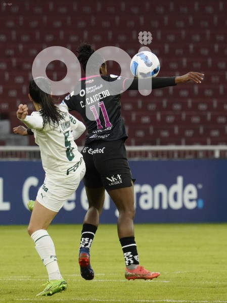 FBL_LIBERTADORESFEM_IDV_PALMEIRAS