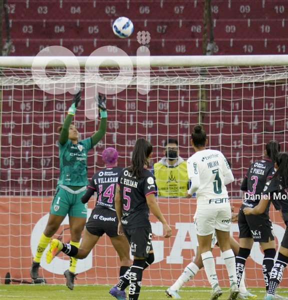 FBL_LIBERTADORESFEM_IDV_PALMEIRAS