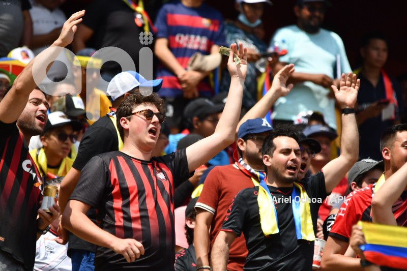 FBL-FINAL LIBERTADORES - FLAMENGO - PARANAENSE