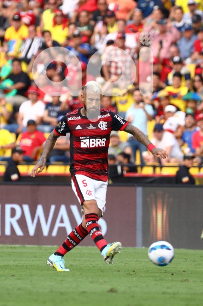 FBL-FINAL LIBERTADORES - FLAMENGO - PARANAENSE