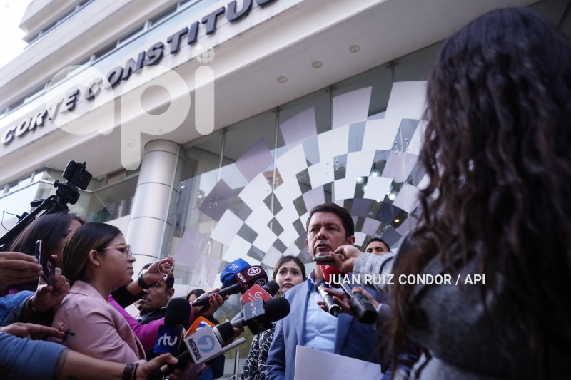UIO-CCONSTITUCIONAL-JIMENES-CONSULTA