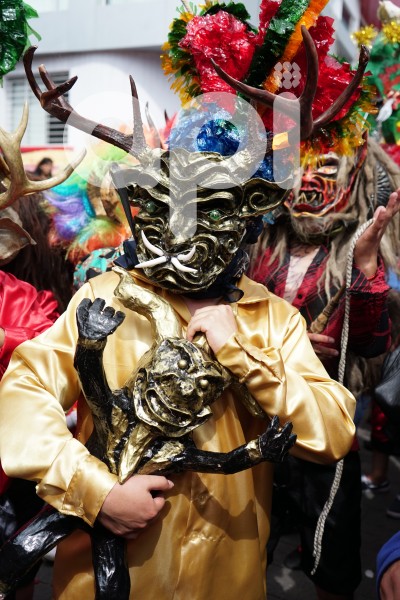 DIABLADA- PILLAREÑA
