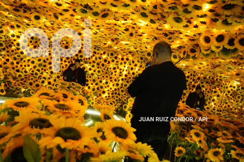 UIO-EXPO-VANGOGH