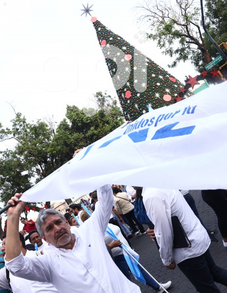 GYE-APOYO SI CONSULTA