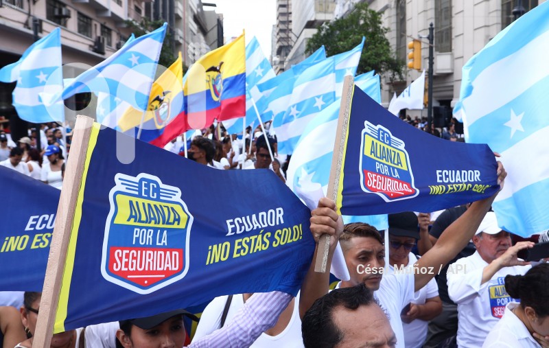 GYE-APOYO SI CONSULTA