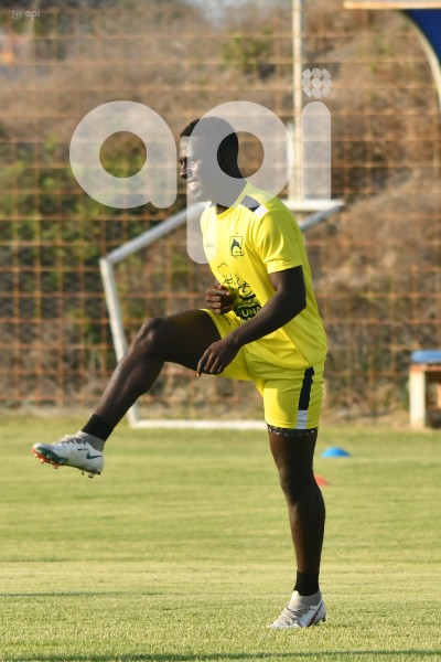 FBL-LIGAPRO-DELFIN-PRETEMPORADA