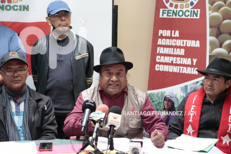 FEINE-FENOCIN-CONSULTA