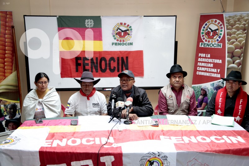 FEINE-FENOCIN-CONSULTA