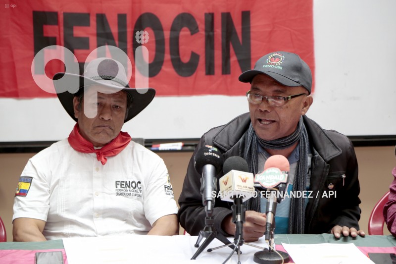 FEINE-FENOCIN-CONSULTA