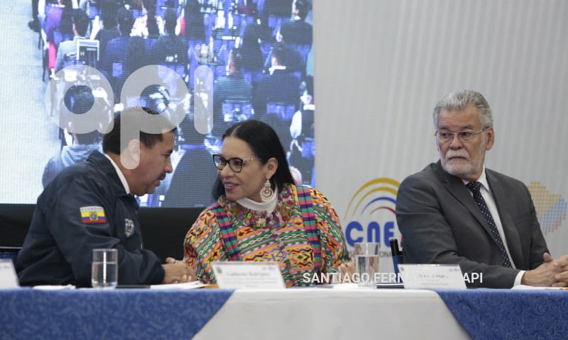 VOTACION-PPL