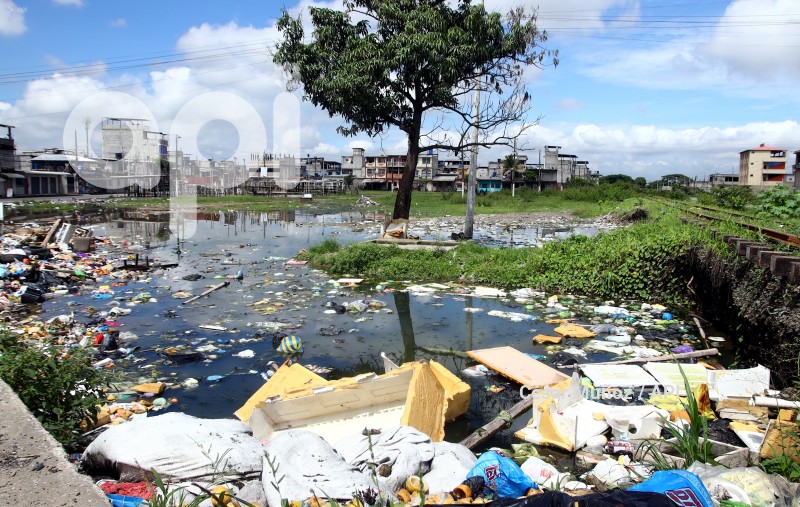 GYE-CASOS DE LEPTOSPIROSIS