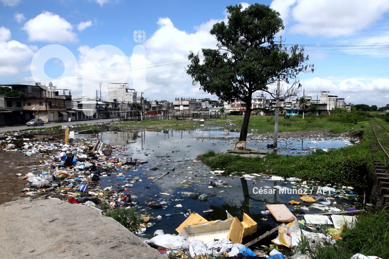 GYE-CASOS DE LEPTOSPIROSIS