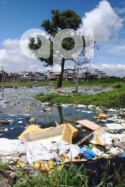 GYE-CASOS DE LEPTOSPIROSIS