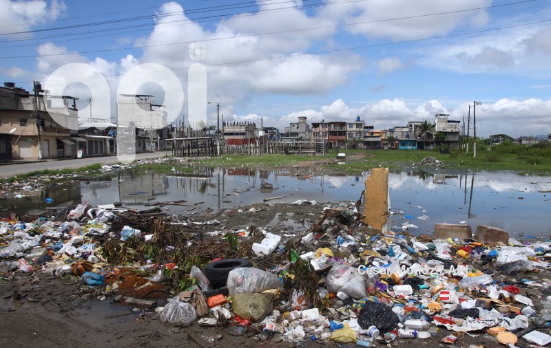 GYE-CASOS DE LEPTOSPIROSIS