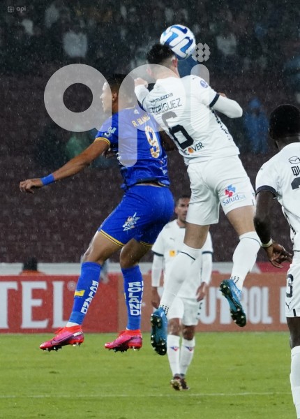FBL-SUDAMERICANA-LIGA-DELFIN