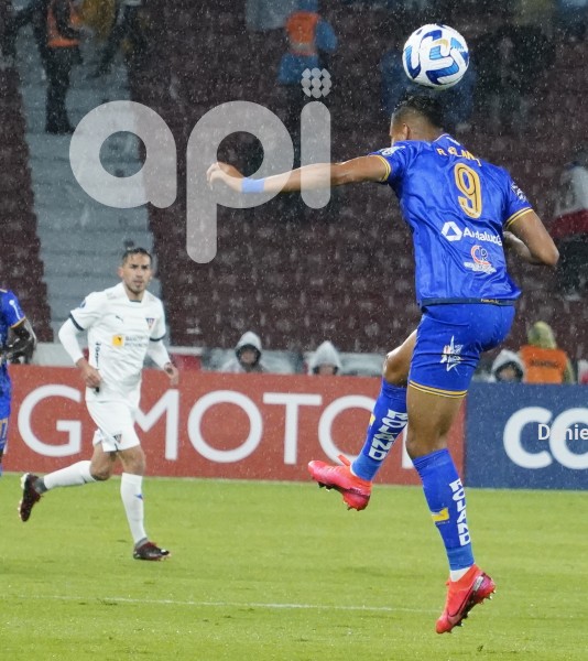 FBL-SUDAMERICANA-LIGA-DELFIN