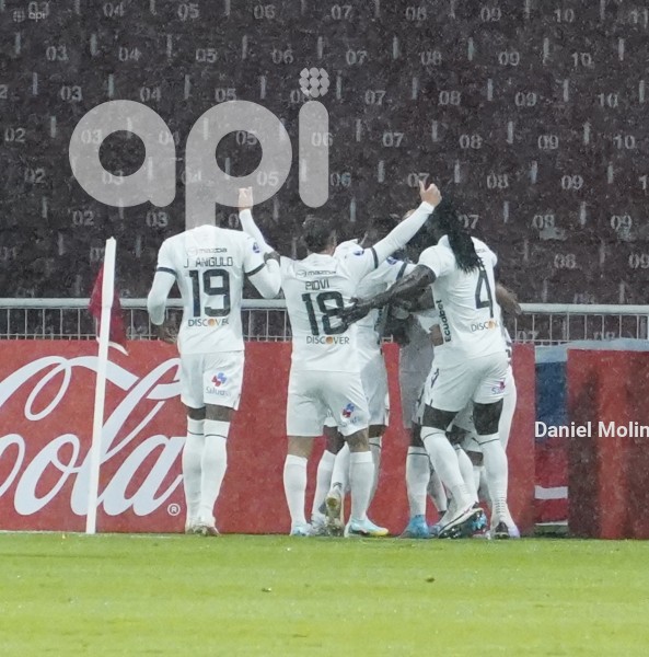 FBL-SUDAMERICANA-LIGA-DELFIN