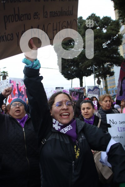 MARCHA-FEMINISTA