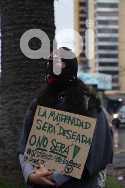 MARCHA-FEMINISTA