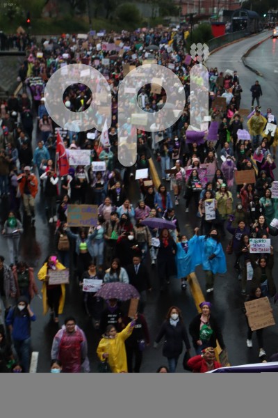 MARCHA-FEMINISTA