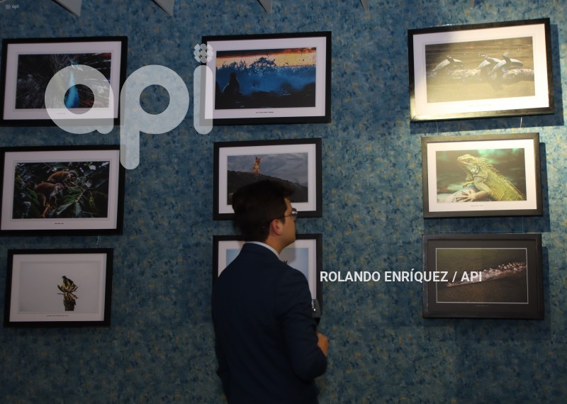 EXPOSICIÓN-FOTOGRAFÍCA-RESPLANDORES