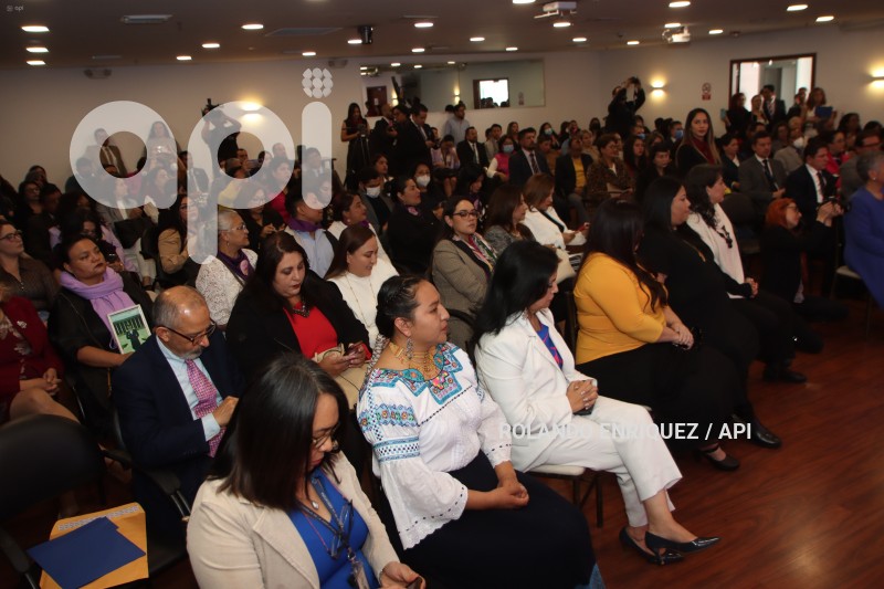 JUDICATURA-DERECHOS-MUJERES