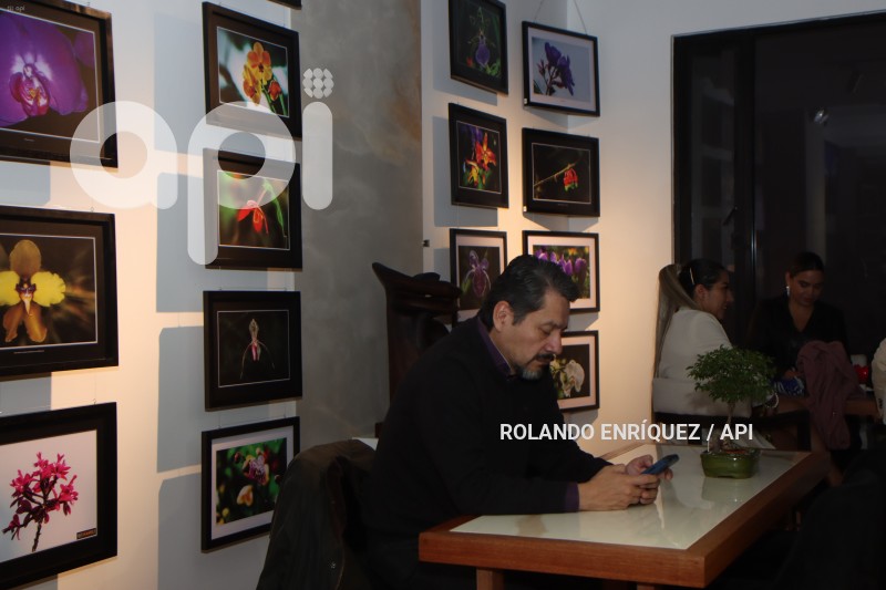 EXPOSICIÓN-FOTOGRAFÍCA-RESPLANDORES