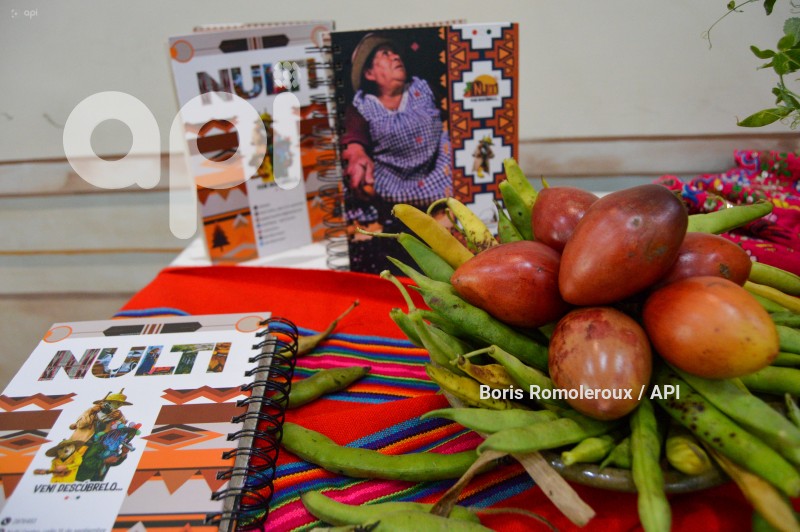 CUENCA-NULTI PROYECTO-PAWKAR RAYMI